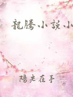 龙腾小说小说网