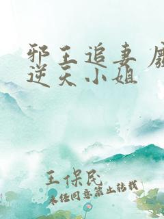 邪王追妻 废材逆天小姐