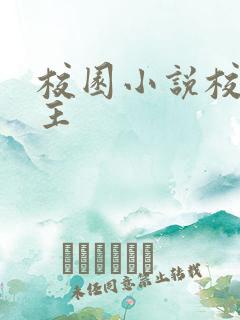 校园小说校霸男主