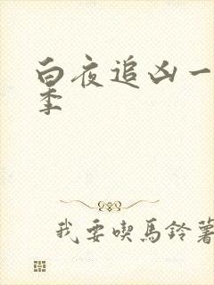 白夜追凶一共几季