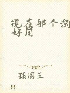 现在那个浏览器好用