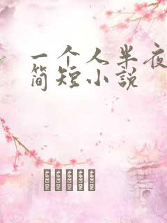 一个人半夜看的简短小说