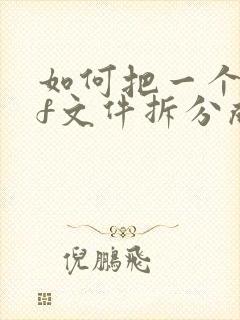 如何把一个pdf文件拆分成多个文件