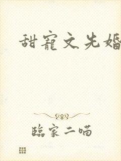 甜宠文先婚后爱