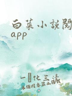 白菜小说阅读器app