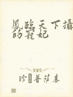 凤临天下摄政王的宠妃