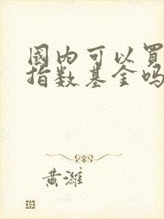 国内可以买美股指数基金吗