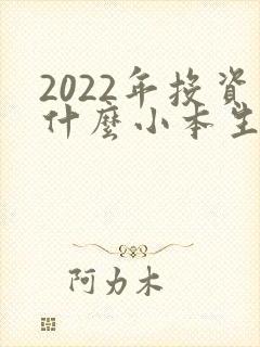 2022年投资什么小本生意好