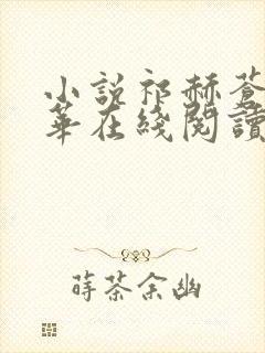 小说祁赫苍许灼华在线阅读