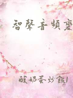 智声音频变声器