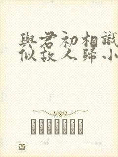 与君初相识,恰似故人归小说