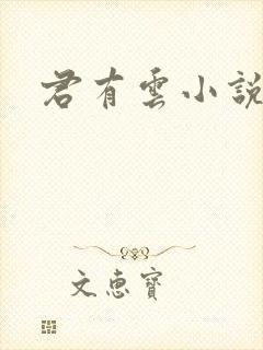 君有云小说结局