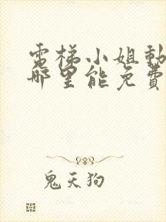 电梯小姐动画片哪里能免费观看