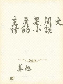 主角是周文的言情的小说