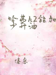 哈弗h2能加多少升油