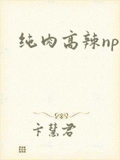 纯肉高辣np文