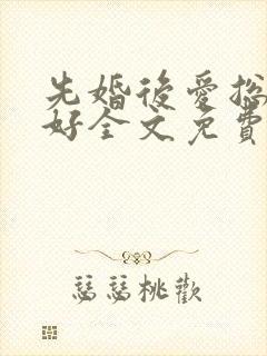 先婚后爱总裁你好全文免费阅读