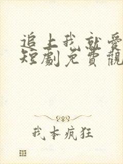 追上我就爱上你短剧免费观看