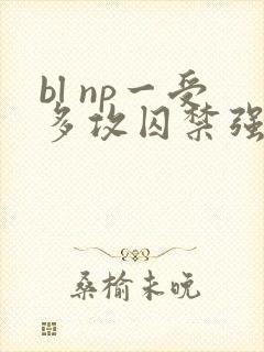 bl np一受多攻囚禁强h