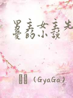 男主女主先婚后爱的小说