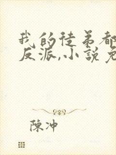 我的徒弟都是大反派,小说免费看