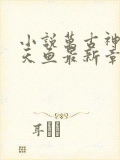 小说万古神帝飞天鱼最新章节阅读