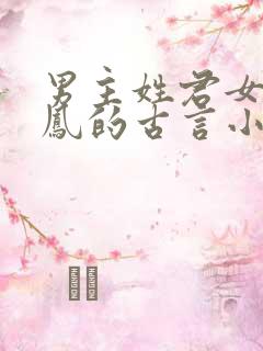 男主姓君女主姓凤的古言小说