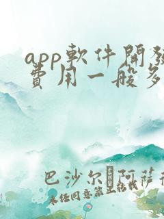 app软件开发费用一般多少钱