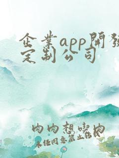企业app开发定制公司