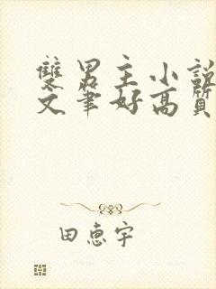 双男主小说推荐文笔好高质量