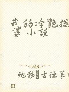 我的冷艳总裁老婆 小说