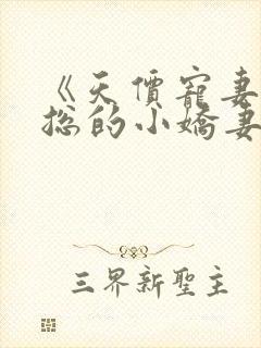 《天价宠妻:霍总的小娇妻》