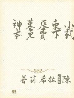 神墓辰东小说全本免费下载