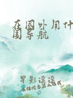在国外用什么地图导航