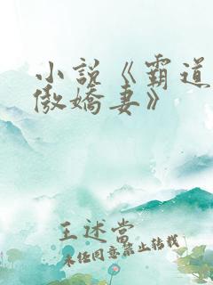 小说《霸道总裁傲娇妻》