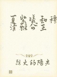 夏紫曦和穆景天清雅公主