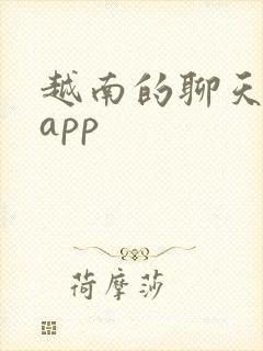 越南的聊天软件app
