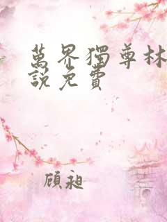 万界独尊林枫小说免费