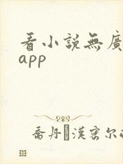 看小说无广告的app