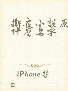 撕夜小说原著叫什么名字