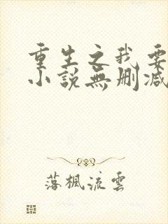 重生之我要冲浪小说无删减