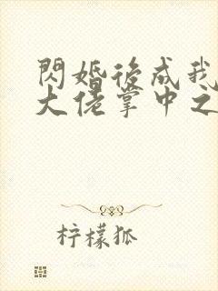 闪婚后成我成了大佬掌中之物