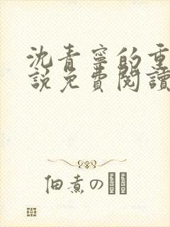 沈青宁的重生小说免费阅读