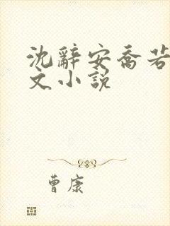 沈辞安乔若兮全文小说