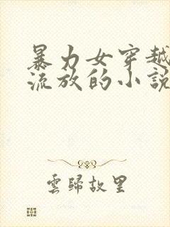 暴力女穿越古代流放的小说