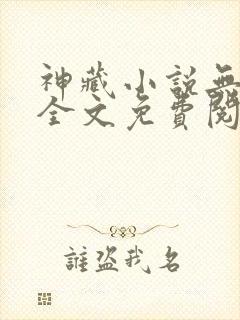 神藏小说无弹窗全文免费阅读