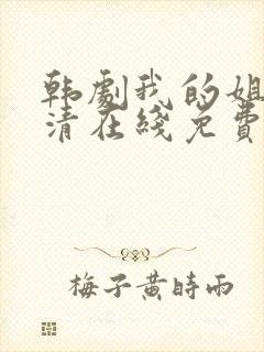 韩剧我的姐姐高清在线免费观看