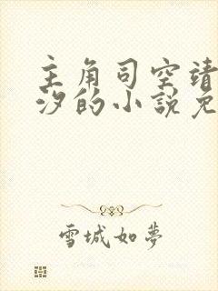 主角司空靖苏月汐的小说免费阅读