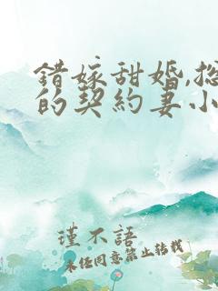 错嫁甜婚,总裁的契约妻小说