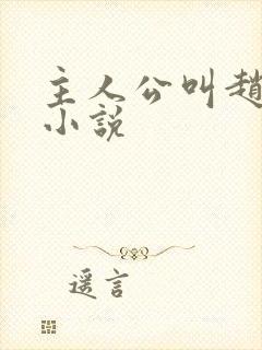 主人公叫赵明的小说